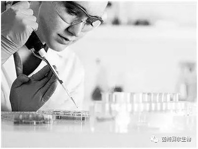 干细胞抗衰老应用研究