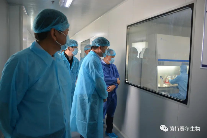 图片4